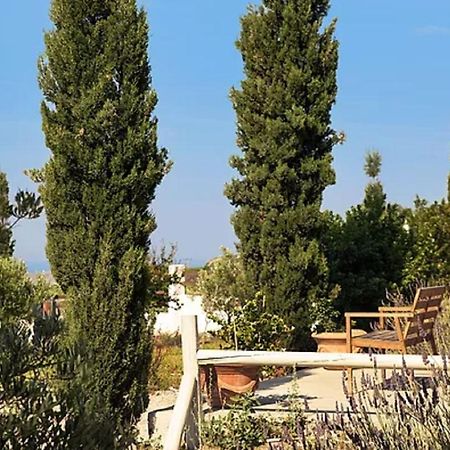 Christou Estate & Villas Pyrgos Kallistis Ngoại thất bức ảnh
